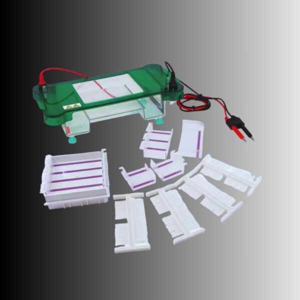 Horizontal Electrophoresis Cell Gel System